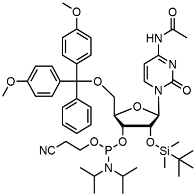 DMT-2'O-TBDMS-rC(ac) Φωσφοραμιδίτης